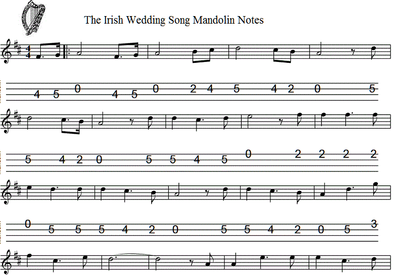 irish-wedding-song-banjo-notes-part-one.gif