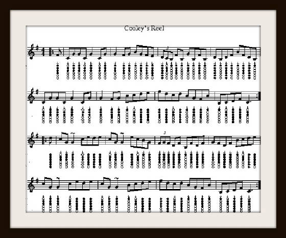 Cooley's Reel Tin Whistle Music