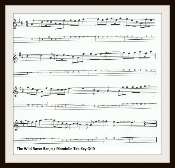 The Wild Rover Banjo Mandolin Tab