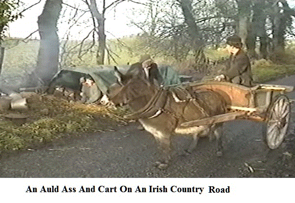 ass-cart-country-road-road.gif