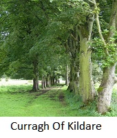 Curragh Of Kildare