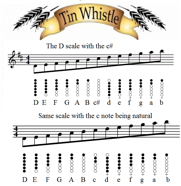 Tin Whistle Scale Notes