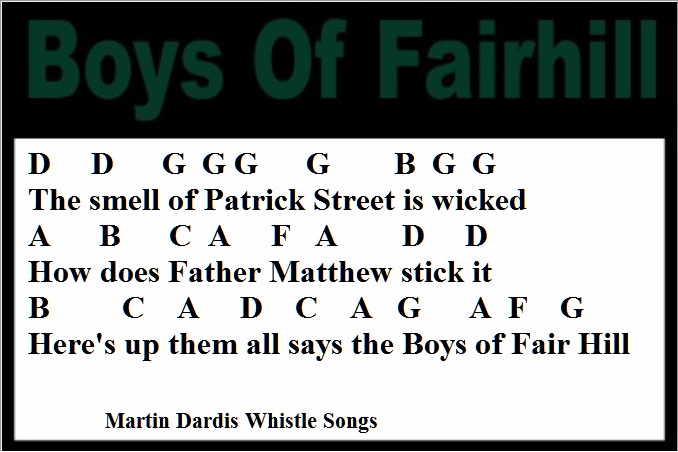 Boys Of Fairhill Tin Whistle