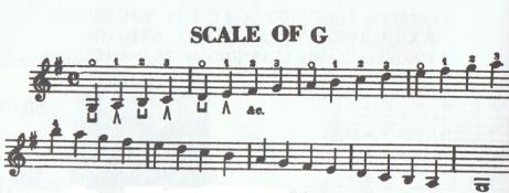 Mandolin G Scale