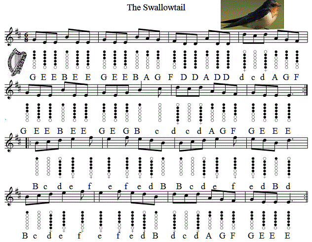 The Swallowtail Tin Whistle Sheet Music